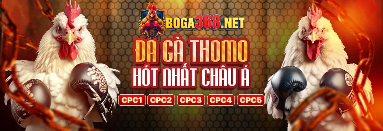 Đá Gà Trực Tuyến 88club8 Login